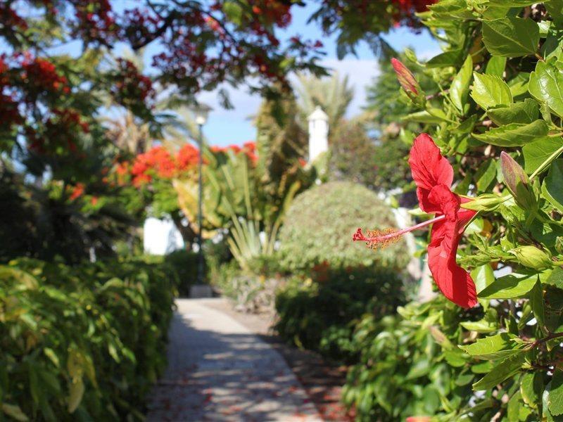Bungalows Cordial Sandy Golf Maspalomas  Exterior foto