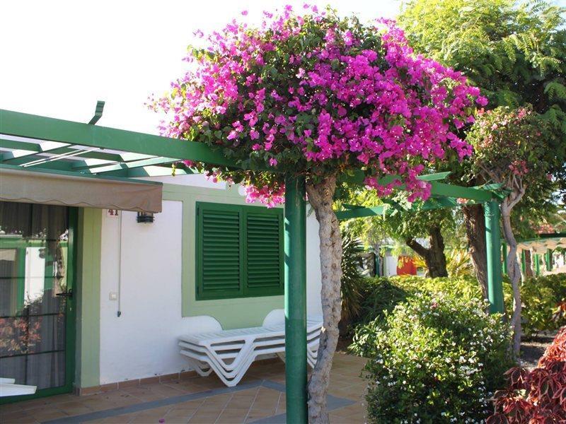 Bungalows Cordial Sandy Golf Maspalomas  Exterior foto
